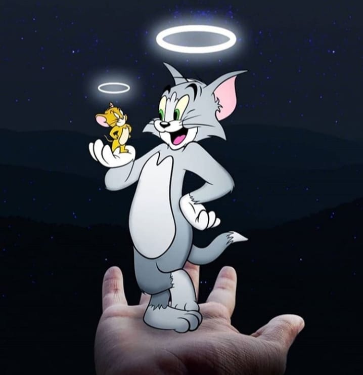 Card image cap